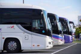 大型二種免許とは？取得方法や取得にかかる費用・期間、費用を抑える方法まで解説