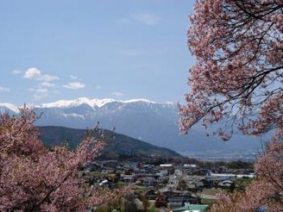 天竜自動車学校がある長野県南信州は観光スポットが多いことで有名です。イチゴ狩りや川下り、スキーにスノボ、リンゴ狩りなど、季節を問わず楽しめますよ♪