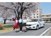 大宮自動車教習所内には大きな桜の木も。友達同士でお花見しながらお弁当を食べてもいいかもしれませんね。